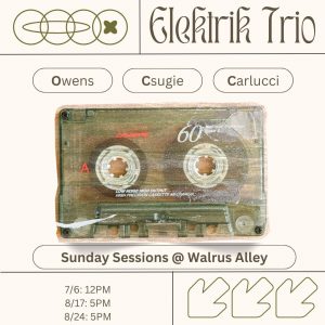 Elektrik Trio @ Walrus Alley